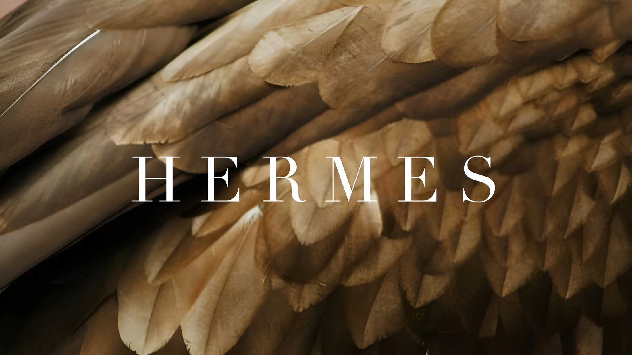 Hermès feather composition