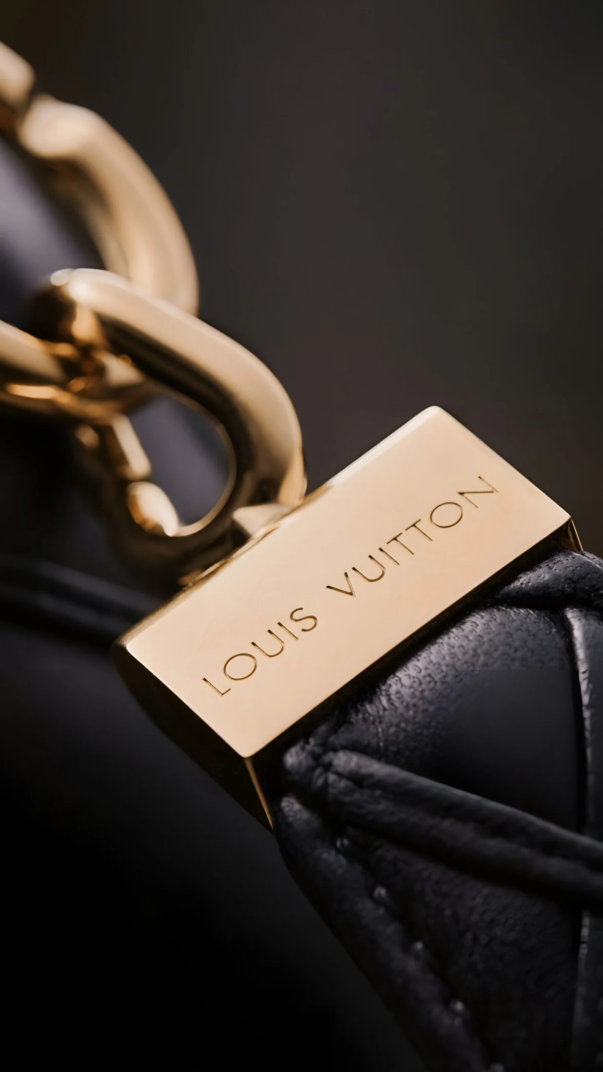 Louis Vuitton Lock Detail